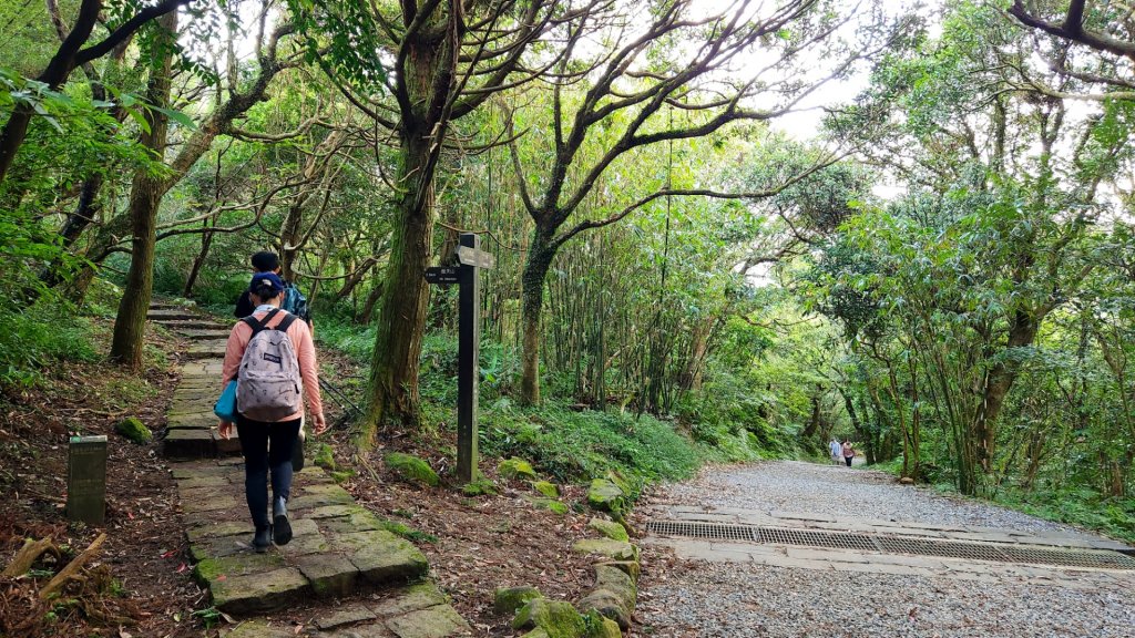 臺北大縱走第一段加碼版，忠義山，向天山，面天山，永春寮環狀步道，四季長廊觀景台，鳳梨宅，大屯自然公園_1921196