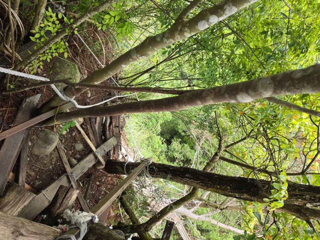 台中大坑4號登山步道_2751100
