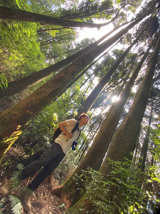 苗栗_大坪出發~杜鵑嶺/加里山_1485843