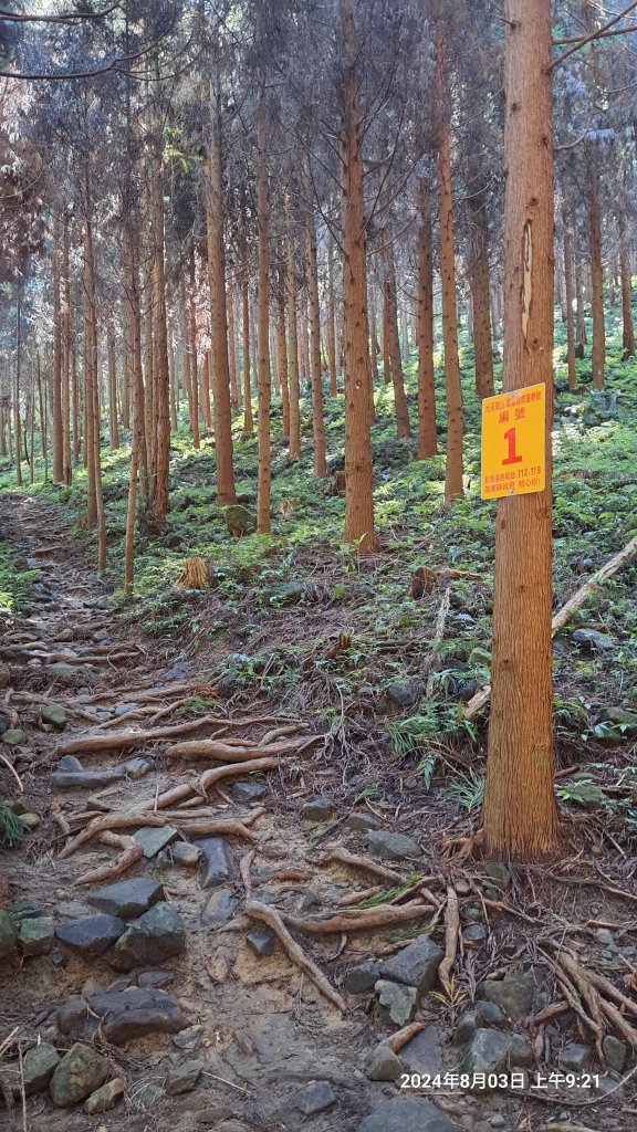 2024.8.3  (苗栗南庄)三角湖山+向天湖山_2573935