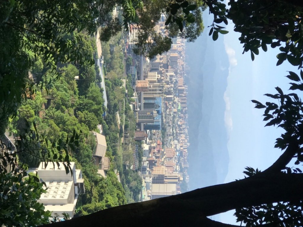 2023尖凍山步道、樟腦寮步道、牡丹心步道_2228355