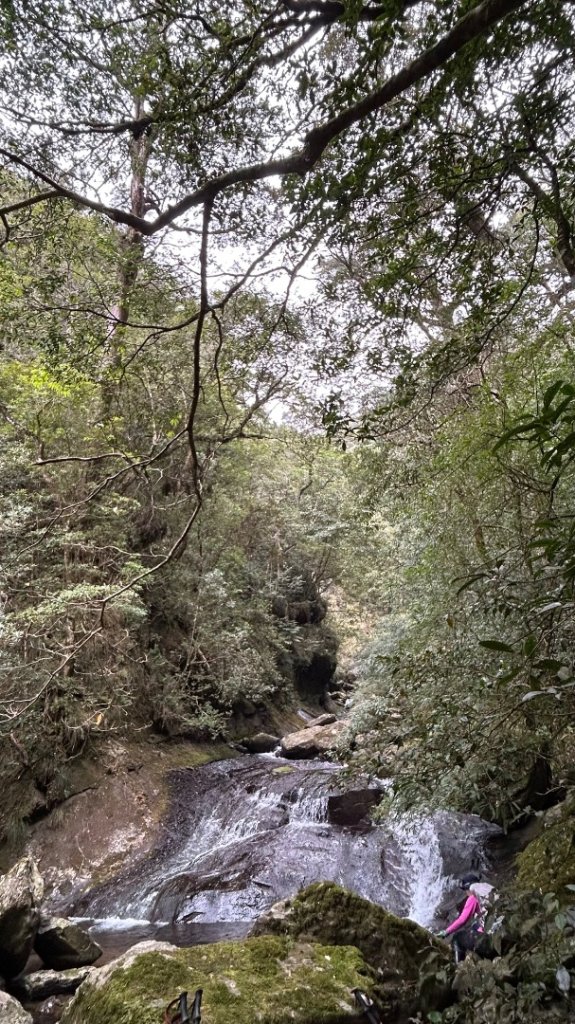 復興赫威神木_2748196