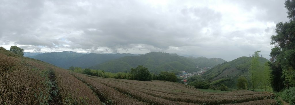 20220611_梨子腳山+太平山_1733260