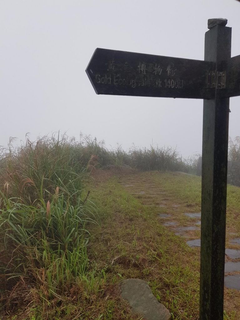 迷霧中的貂山古道_202193