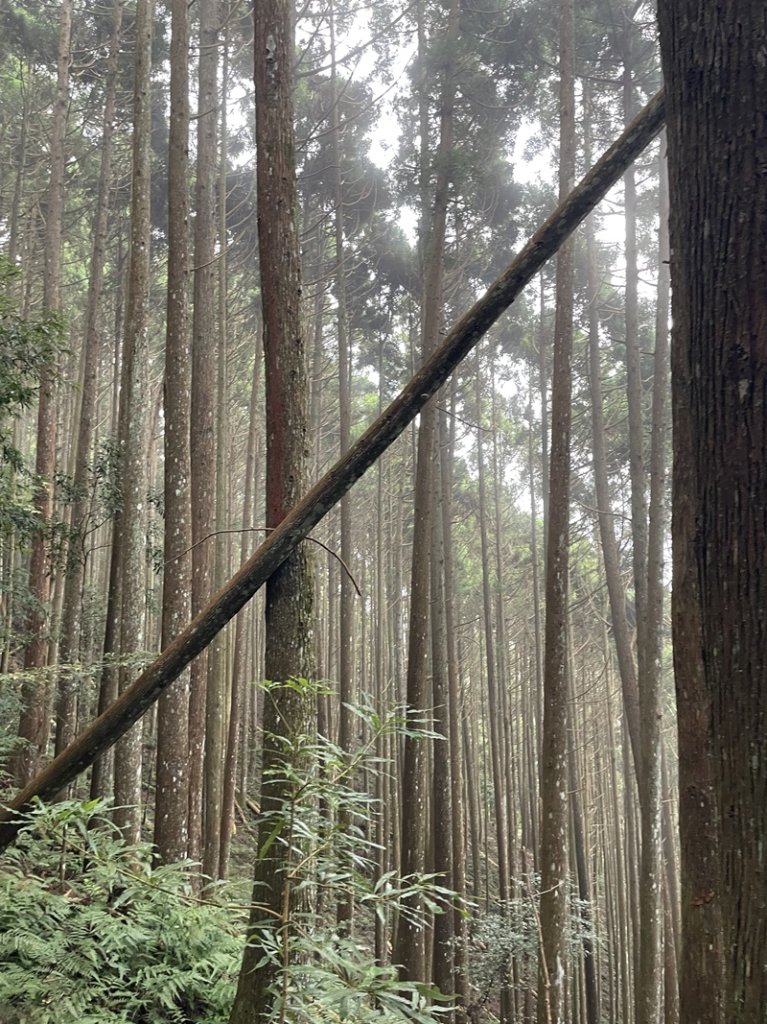 民都有山_2877329