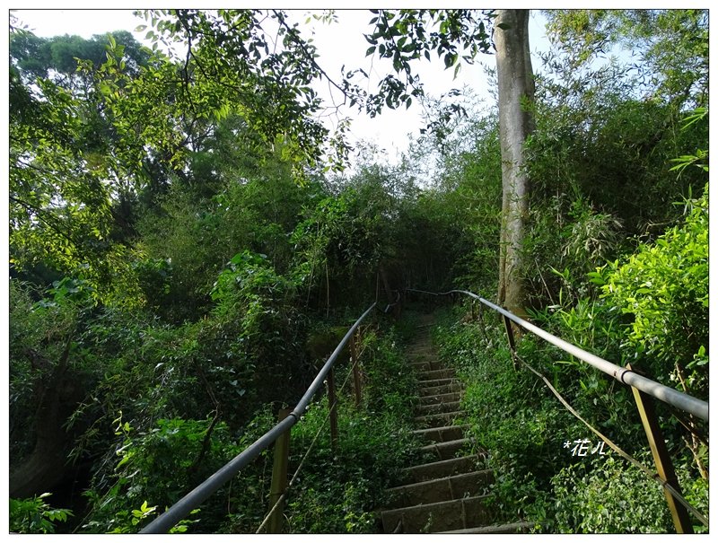 豐原/ 公老坪旱溪源頭步道_689995