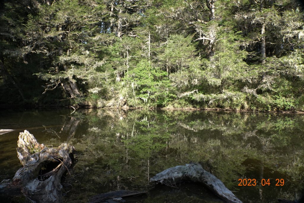 南投 仁愛 武法奈尾山_2133775