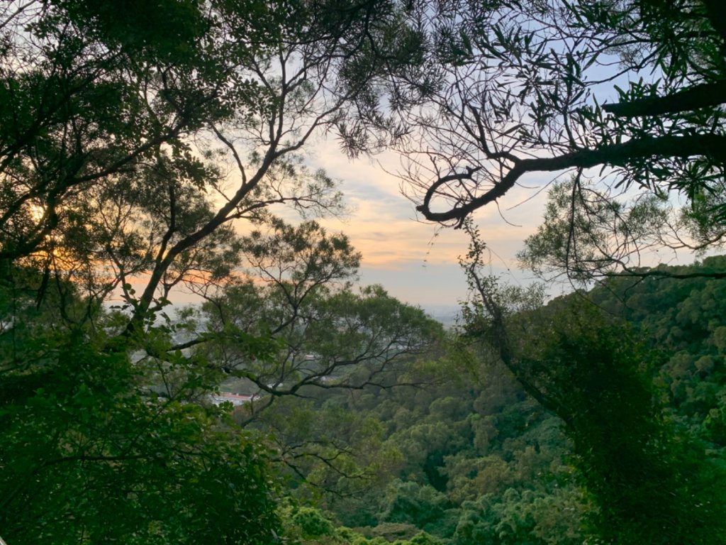 田中森林公園步道_1028873