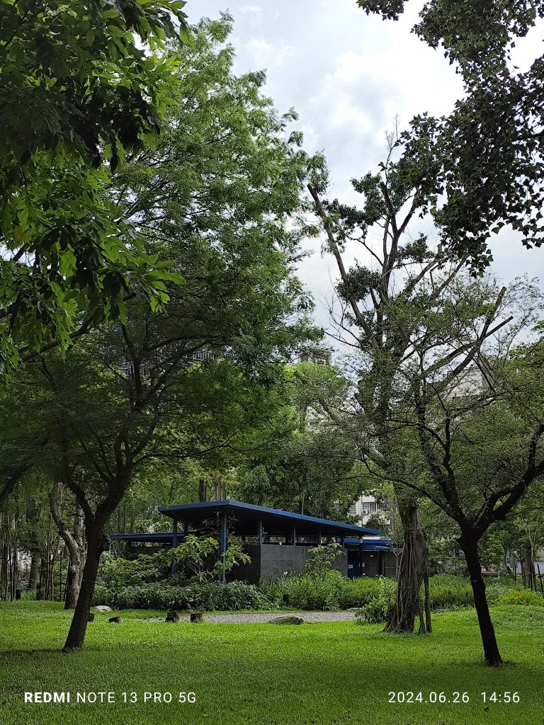 大安森林公園【走路趣尋寶】【臺北健走趣】_2536245