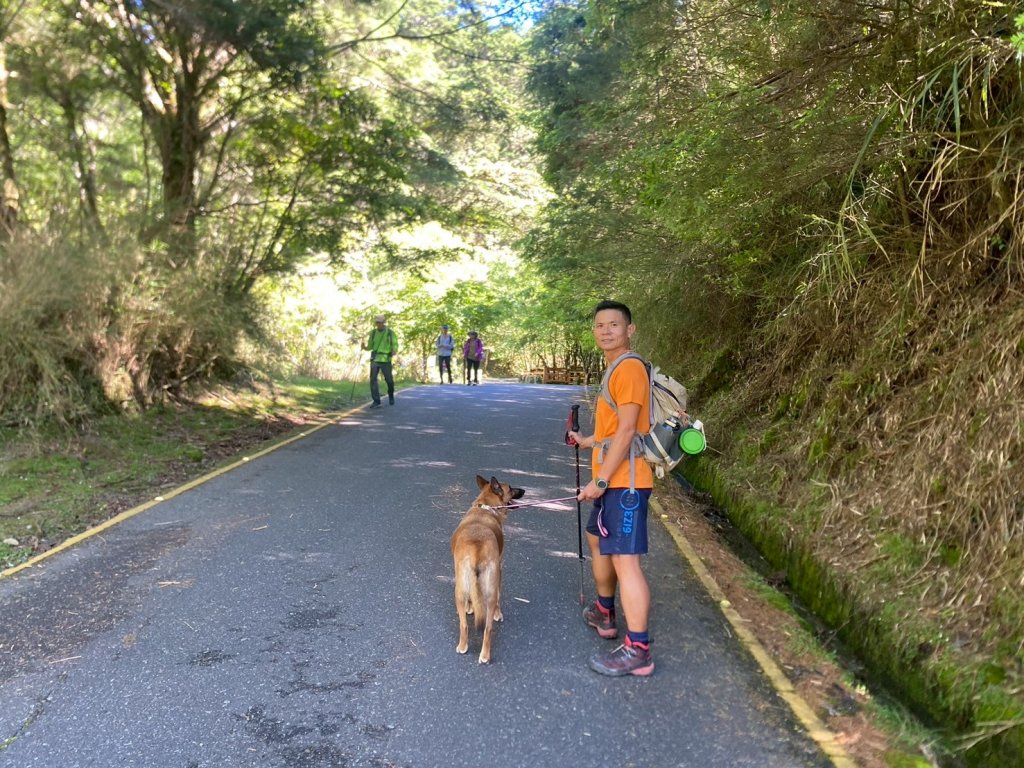東埔山+東埔大草原步道【這裡的夏天冷颼颼】_2826495
