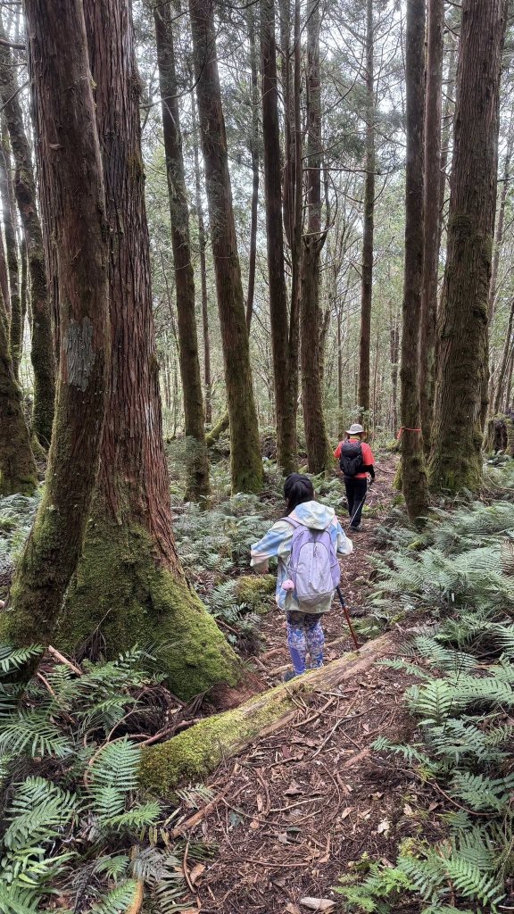 20250913小百岳三星山封面圖