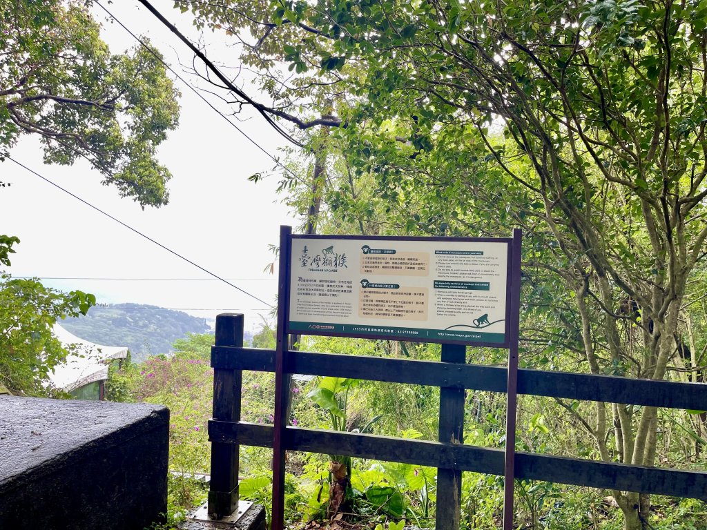 天母古道（水管路）_2650071