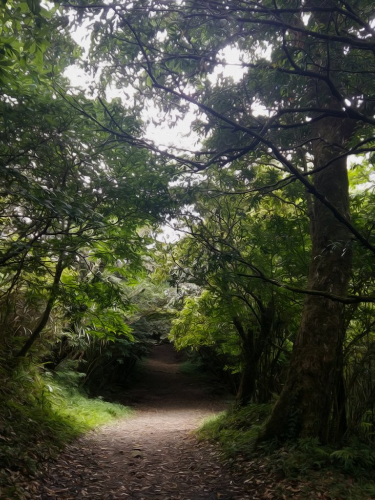 端午登高順陽好節氣 炎炎夏日。登高看雲去_641393