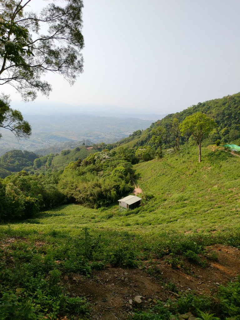 出關古道：聖關段(關刀山步道)_2144923