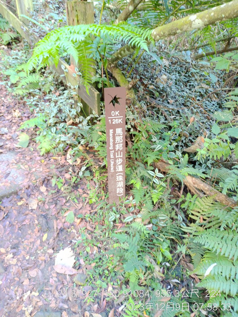 20231209_馬那邦山_2374531