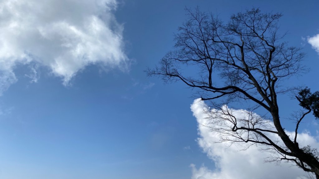 北大武山。二訪之雲海不在家_1487462