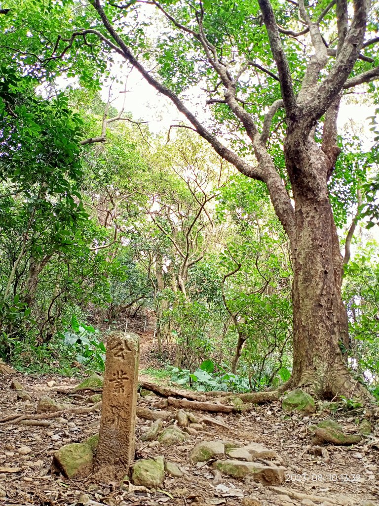 【臺北大縱走 1、走路趣尋寶】北投清天宮→下青礐步道→貴子坑步道→小坪頂路→忠義山步道→捷運關渡站_2244759