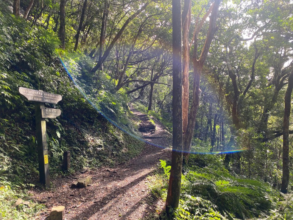 1110131東滿步道_2652330