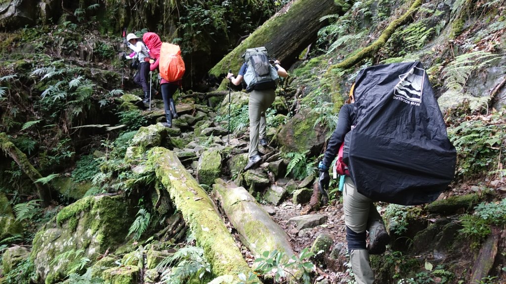 雙龍林道上巒安堂西巒大山_1778562