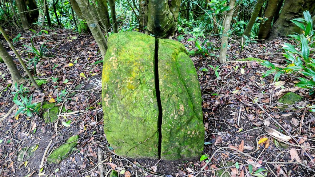 蛇子形古道。美廠產能完售封面圖