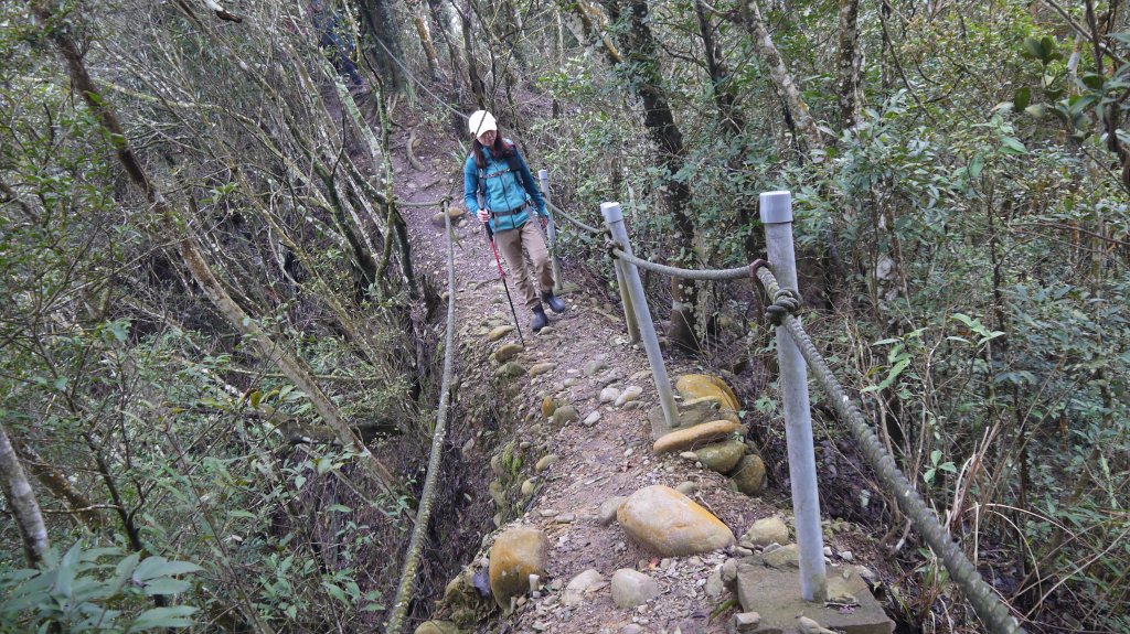 三員縱走登山健行趣(郊山)_1611510