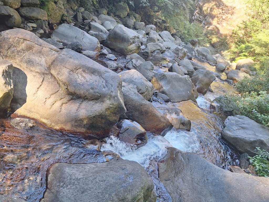 谷關蝴蝶谷瀑布20251120_2940832