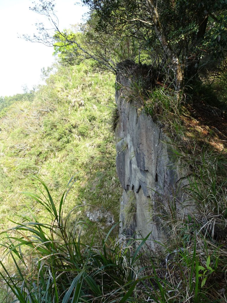 雲林古坑-嘉南雲峰及石壁山_295515