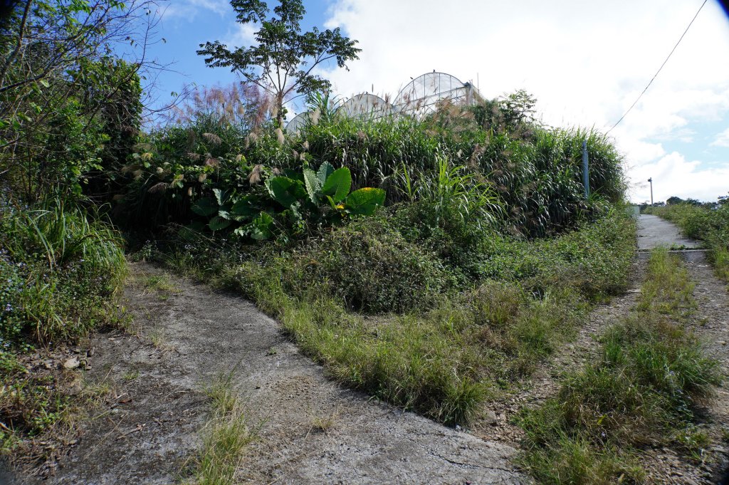 台中 和平 雪山坑山_2925060