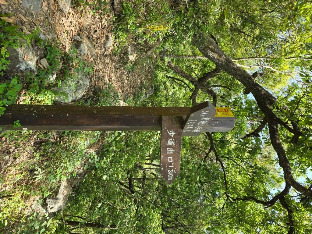 谷關松鶴橋對面的德芙蘭生態步道順登東卯山西南峰_2748296