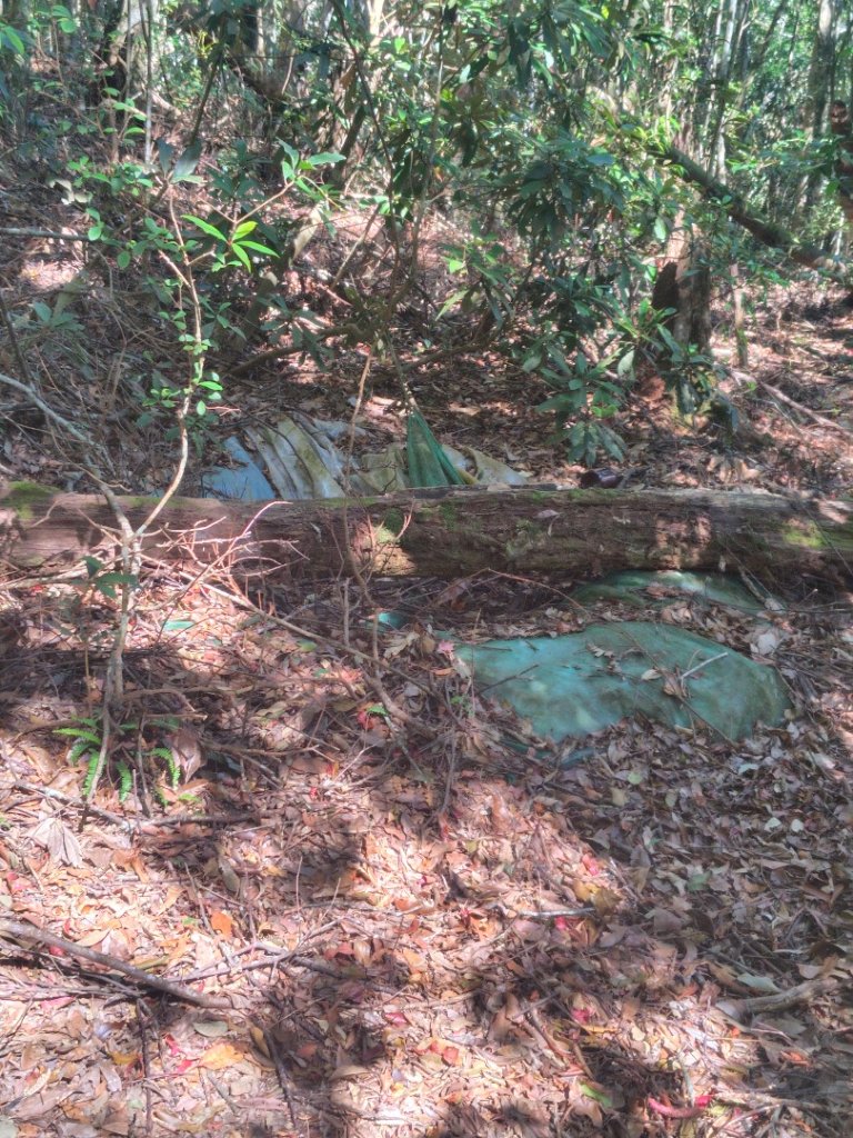 守關山南峰 守關山 守城大山_2919146