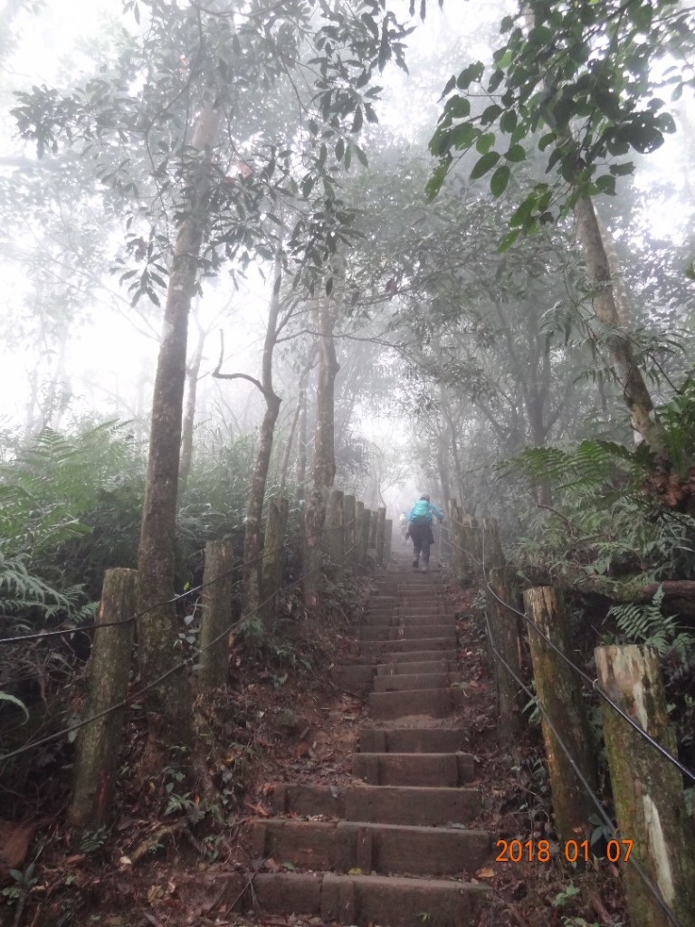 台南第一高山大凍山_240785