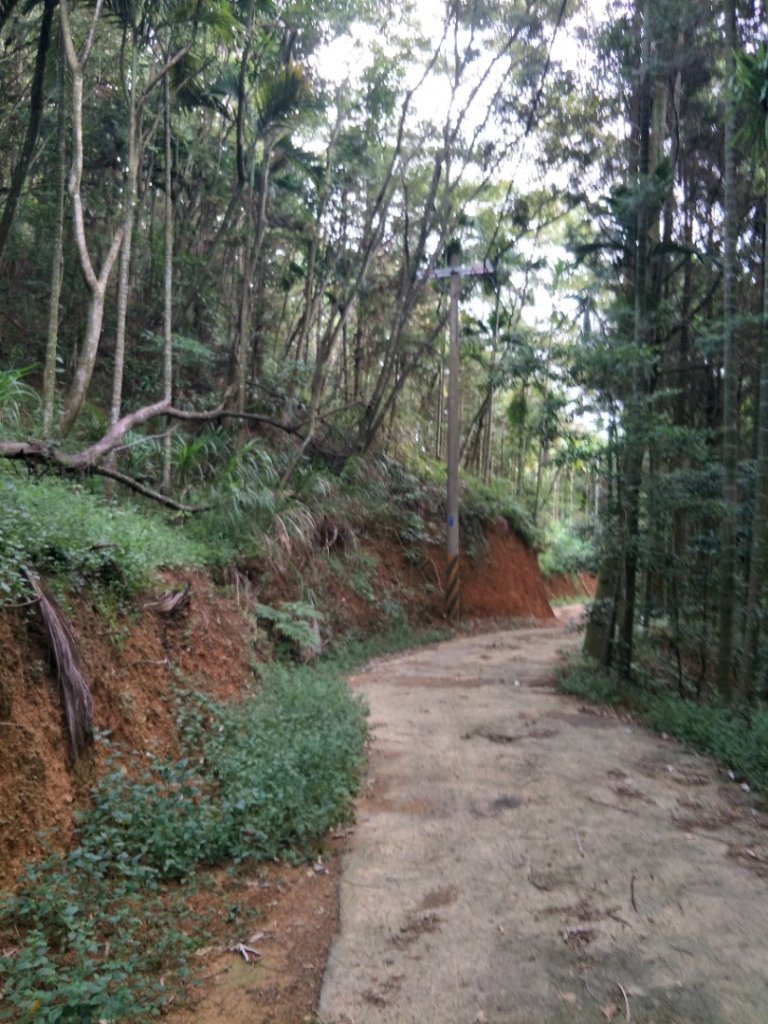 逐鹿古道&雨社山_1465929