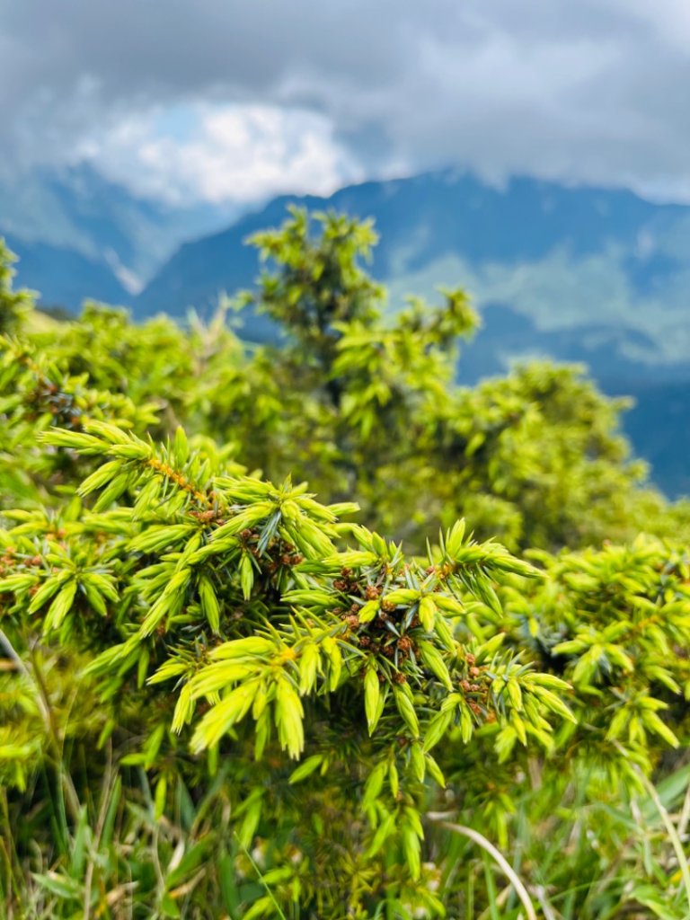 合歡北峰_2535092