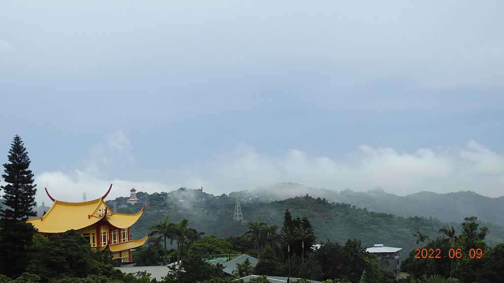 雲山水花鳥蝶 - 雲霧飄渺間的101大樓也是天空之城 ?_1731638