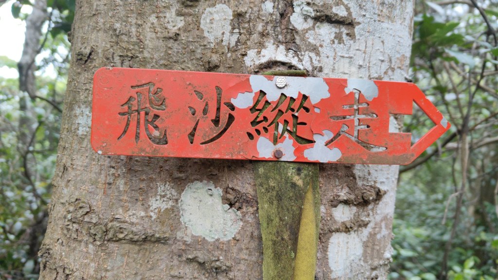 飛沙縱走33連峰2025年4月13日_2760313