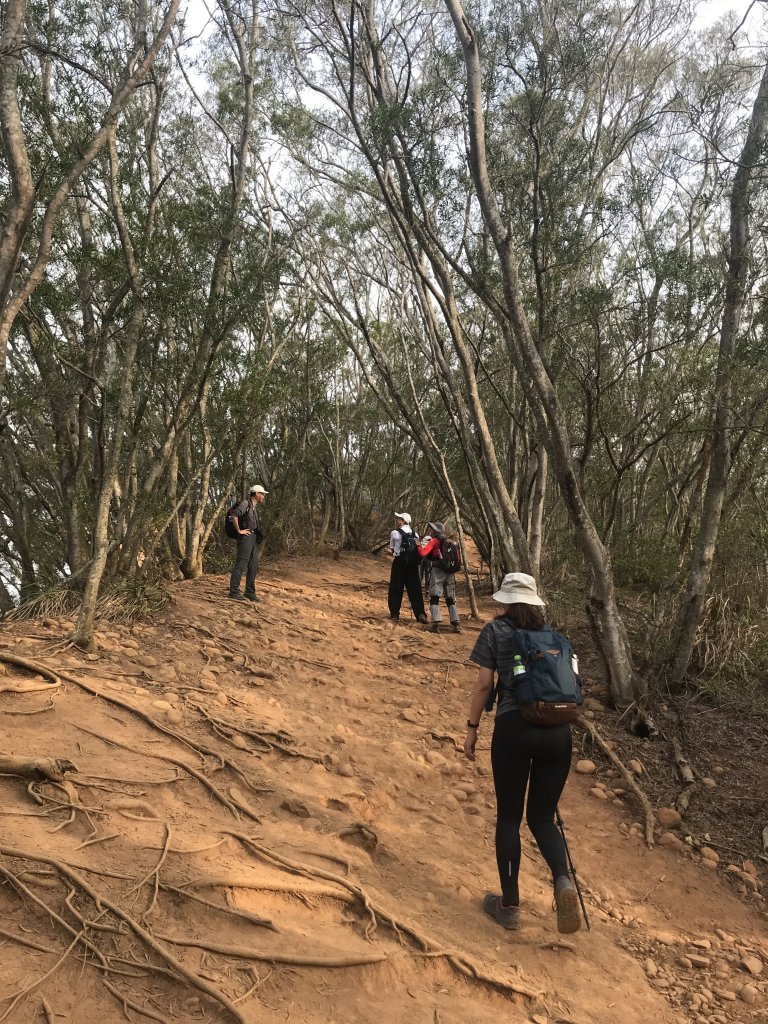 火炎山台版大峽谷_1345598