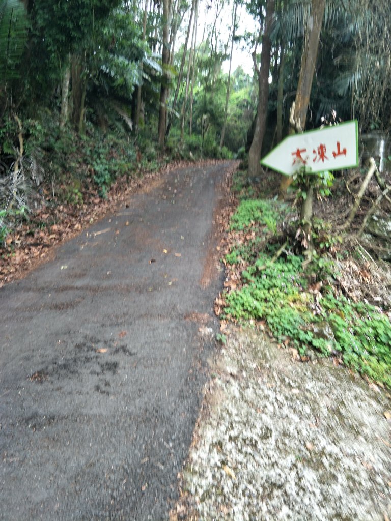 小百岳:台南大凍山 台南百大步道_1656309