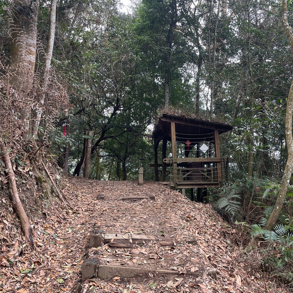 水社大山_2117959