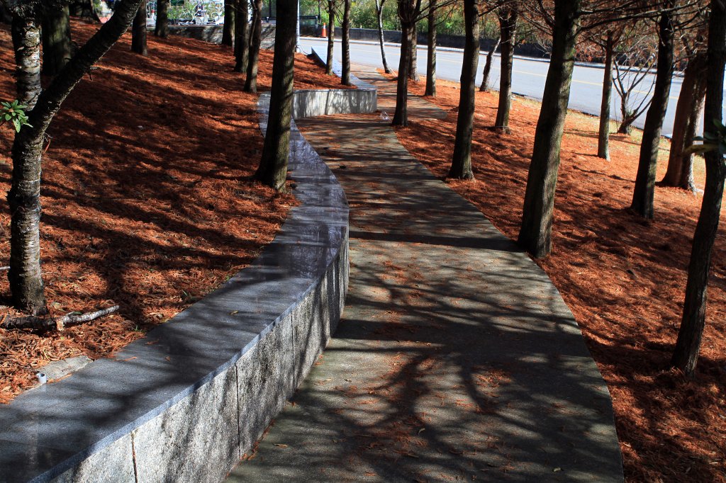 【南投~仁愛】清境農場賞銀杏落羽松楓紅_1209006