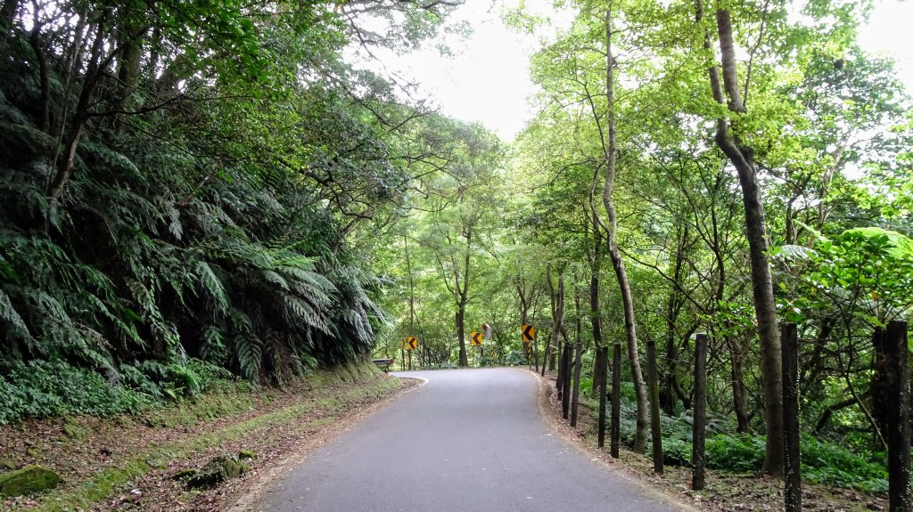 汐止健行散步路線封面圖