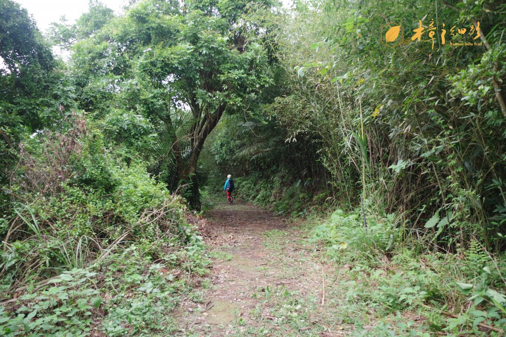 樟之細路 | 09/22砍草任務_686623