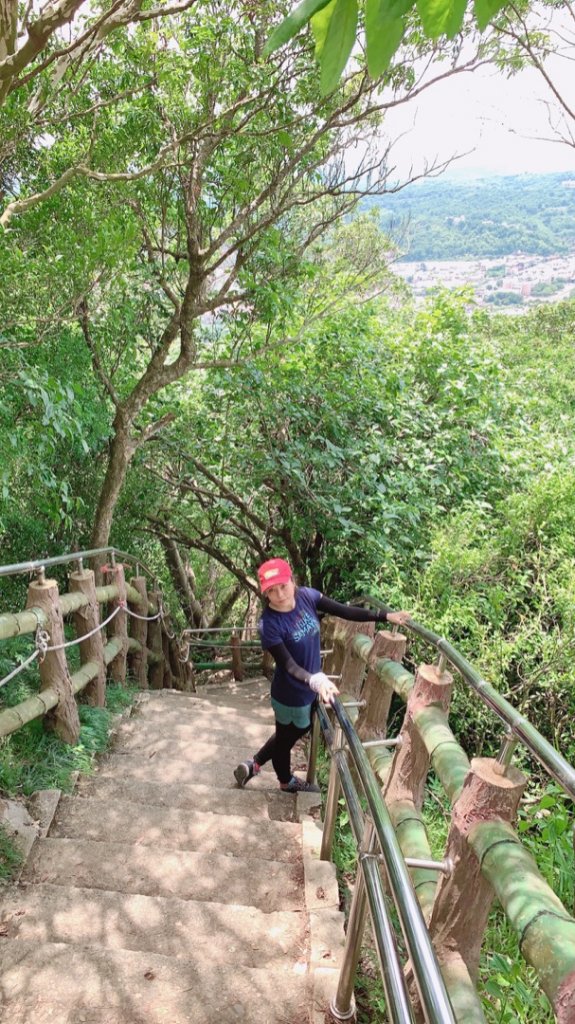 20200801旗尾山_1071110