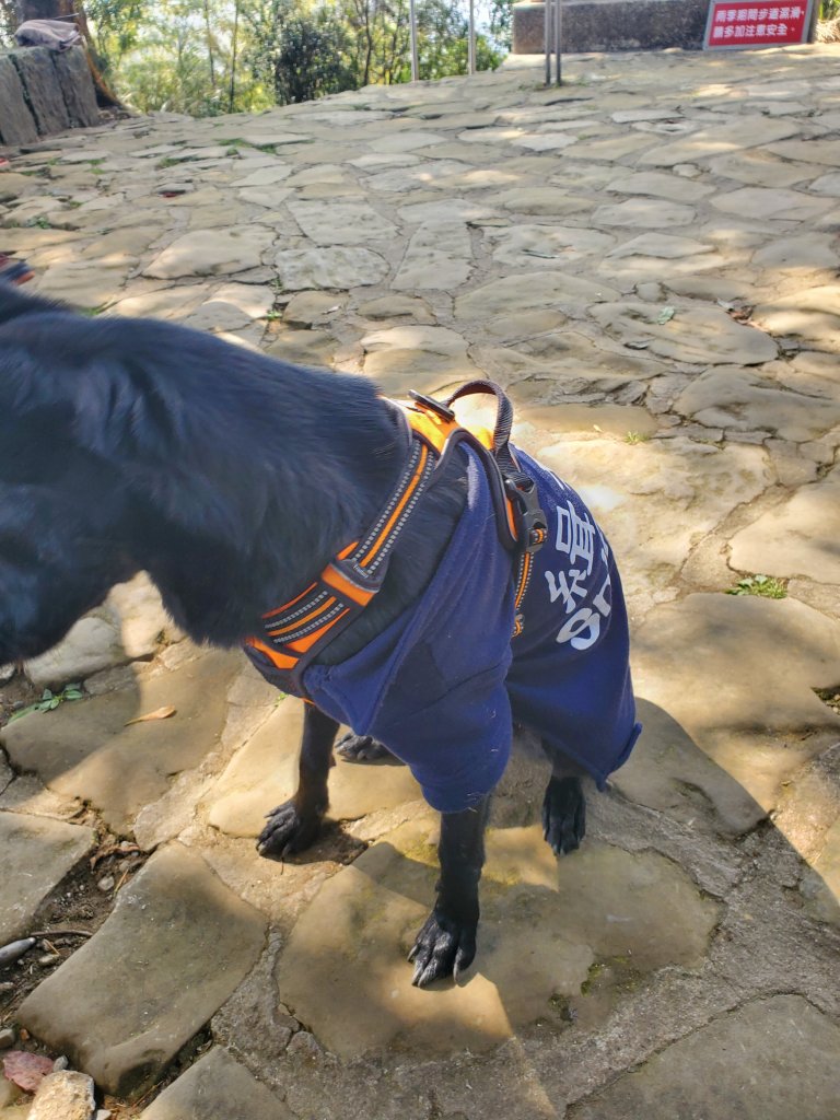 勇闖雲嘉五連峰_821353