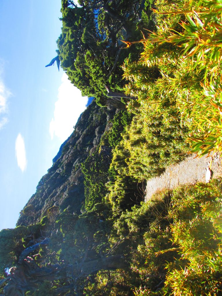 北一段 南湖前四峰_378532