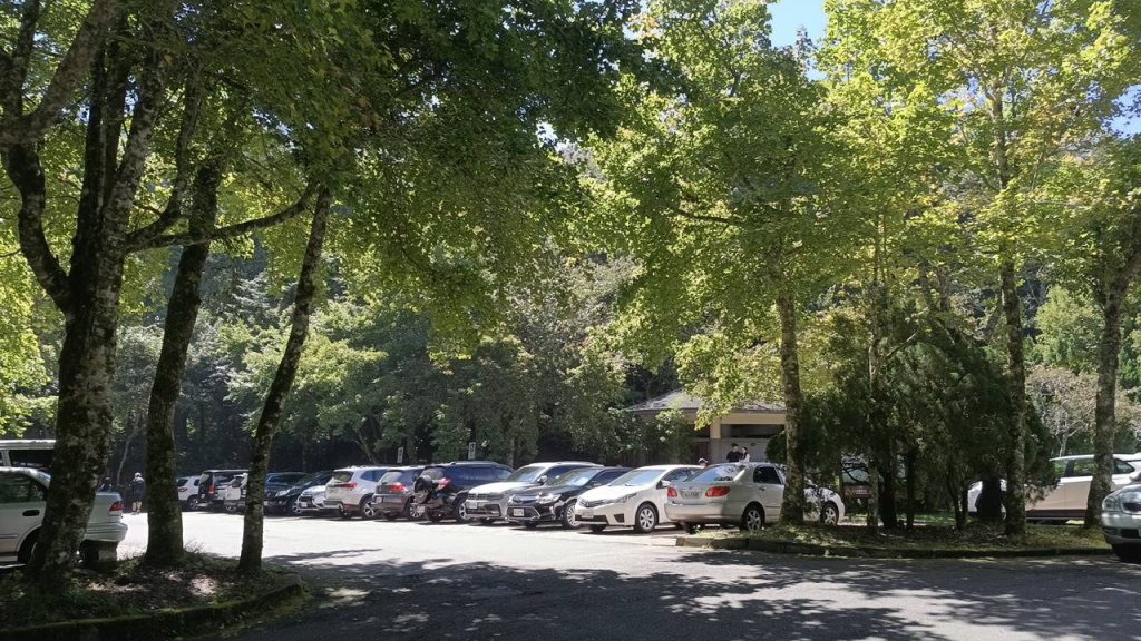 20251010 大雪山國家森林遊樂區 - 船型山林道 登 烏石坑山_2911036
