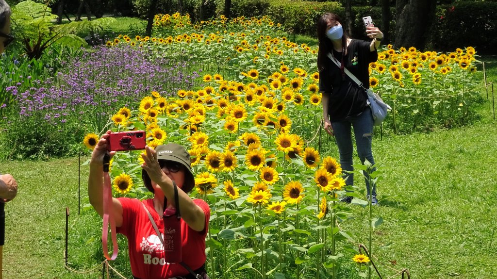 晴天娃娃路線_2142568