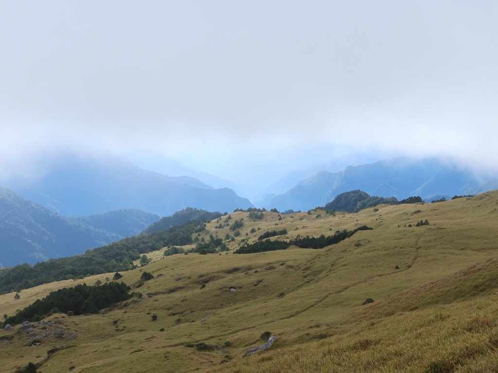 奇萊南華Day2:天池山莊-霧之奇萊南峰-霧之南華山-回程_2473432