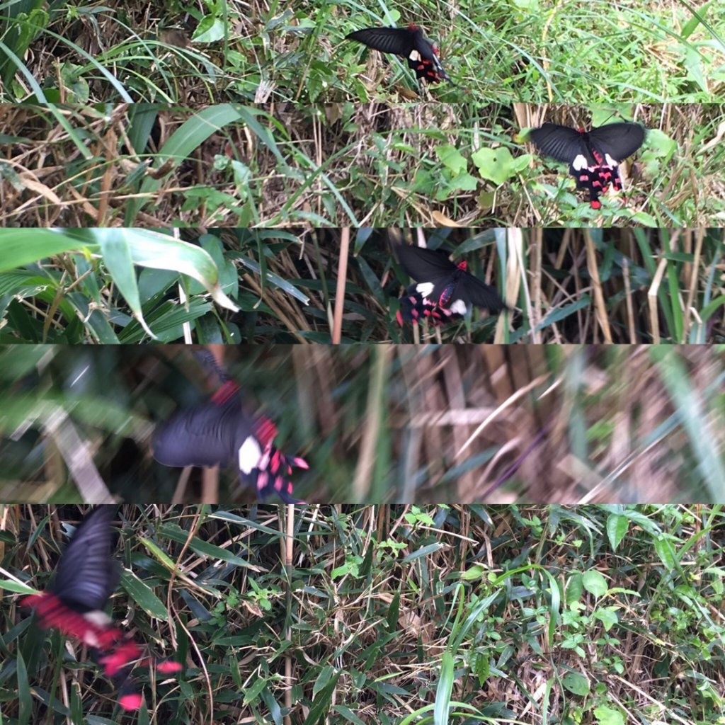 向天池-向天山-面天山_638288
