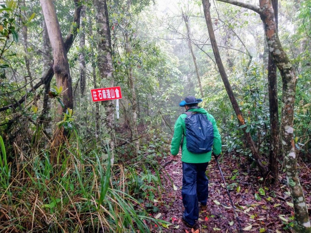 屯野生台山、石麻達山_918005