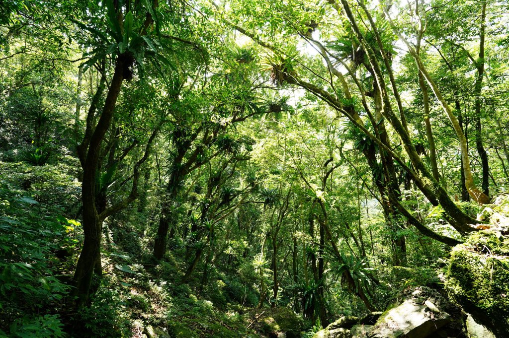 新北 烏來 波露南山_3036003